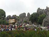 jc1147.jpg
