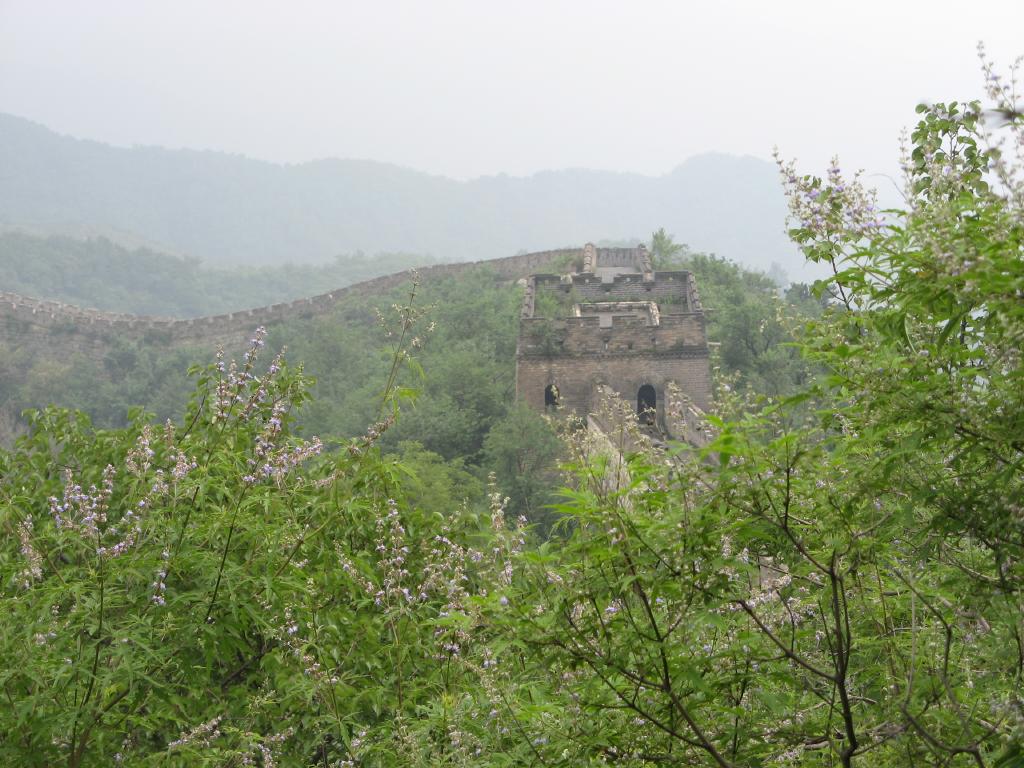 jc0494.jpg