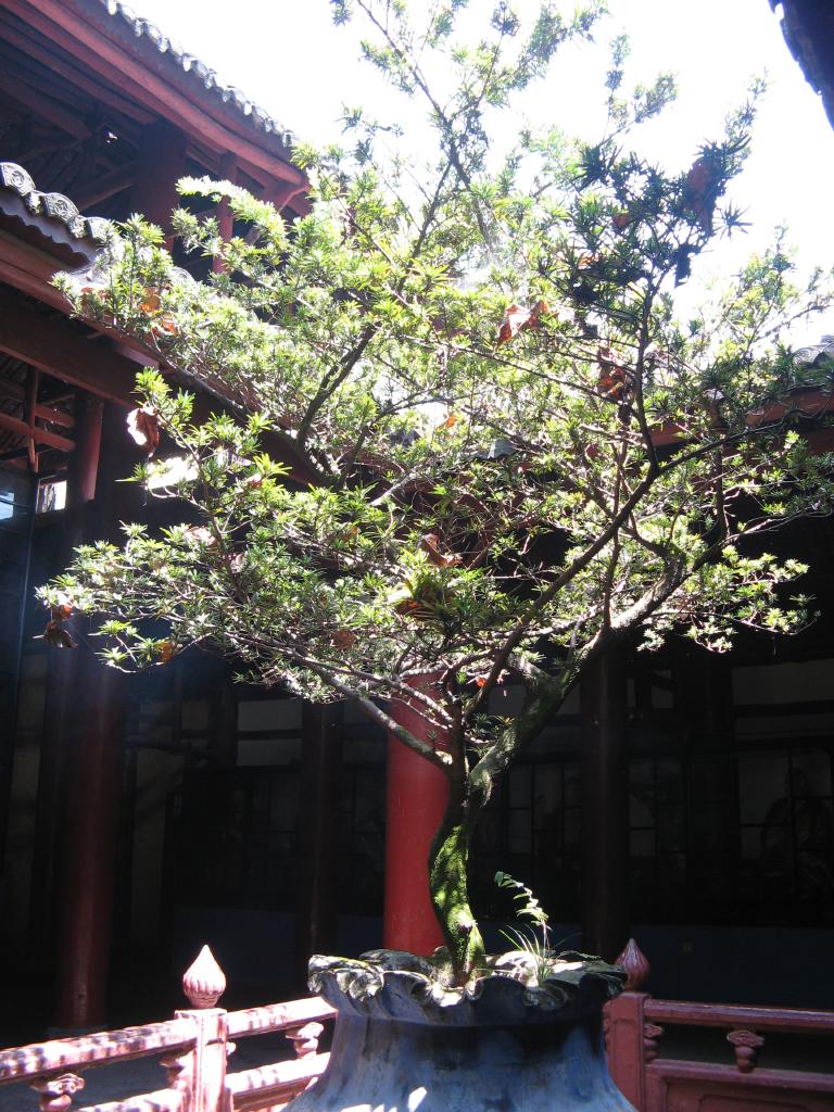 jc0820.jpg