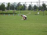 jc0263.jpg